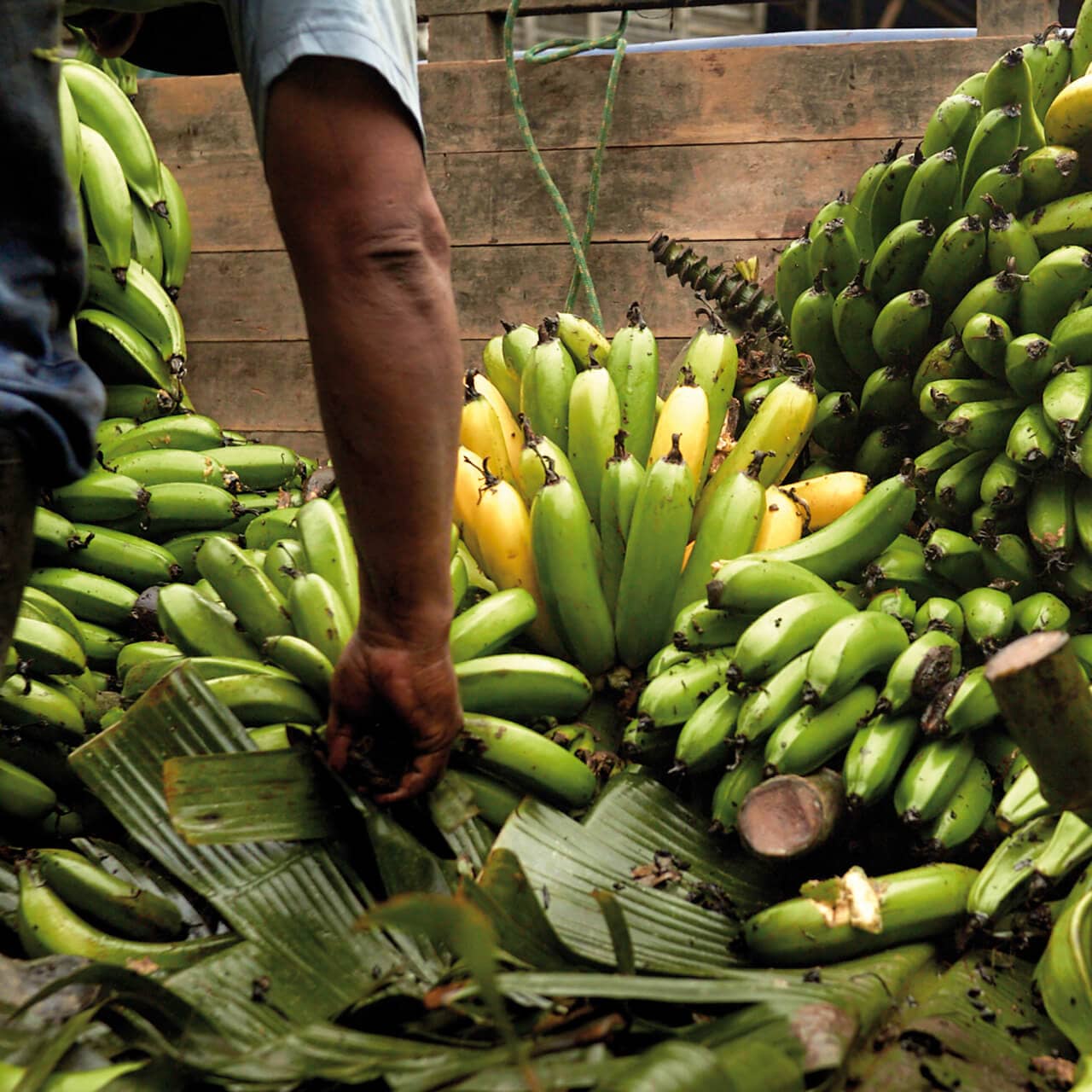 Warum Kaffee Obst braucht.