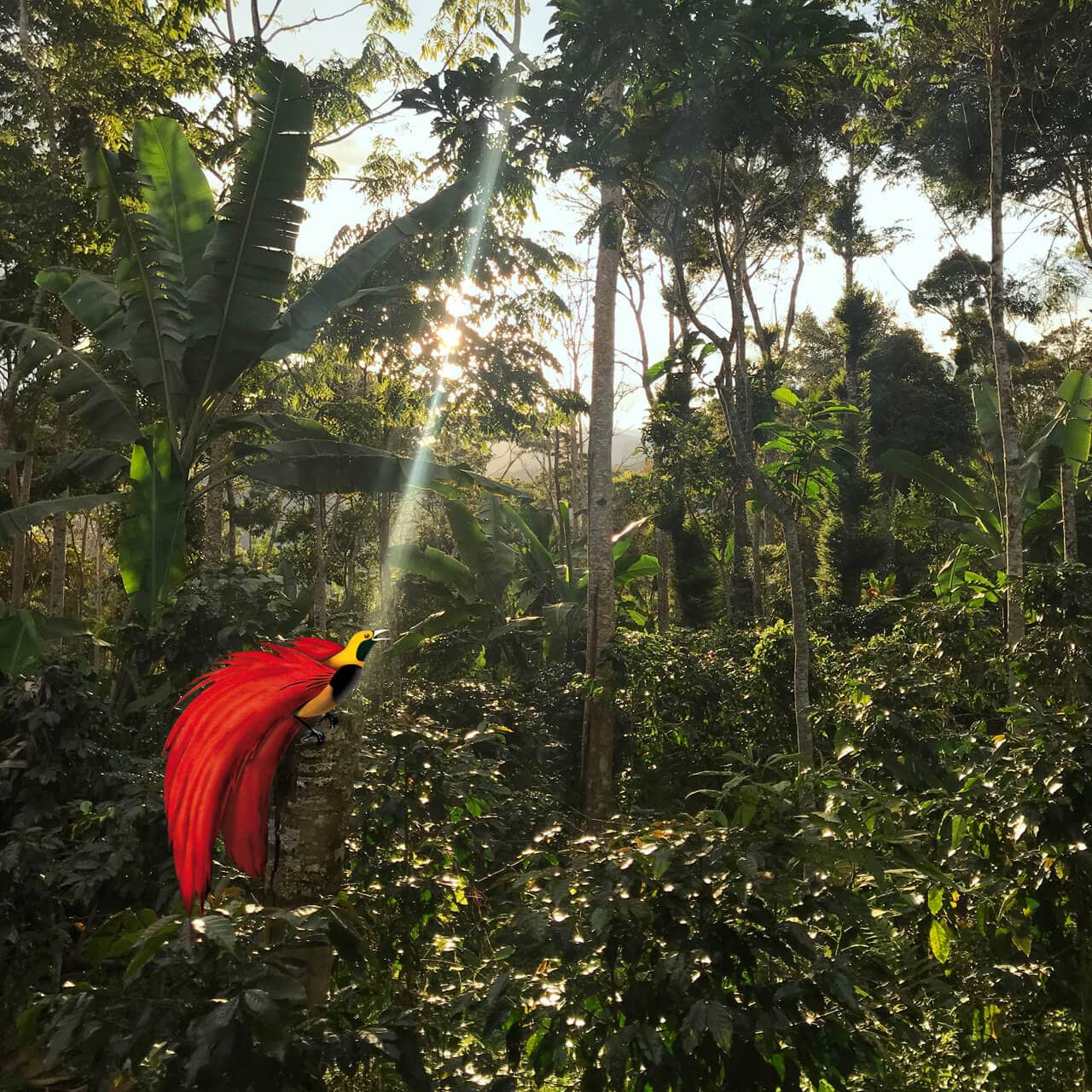 Willkommen im Kaffeegarten.