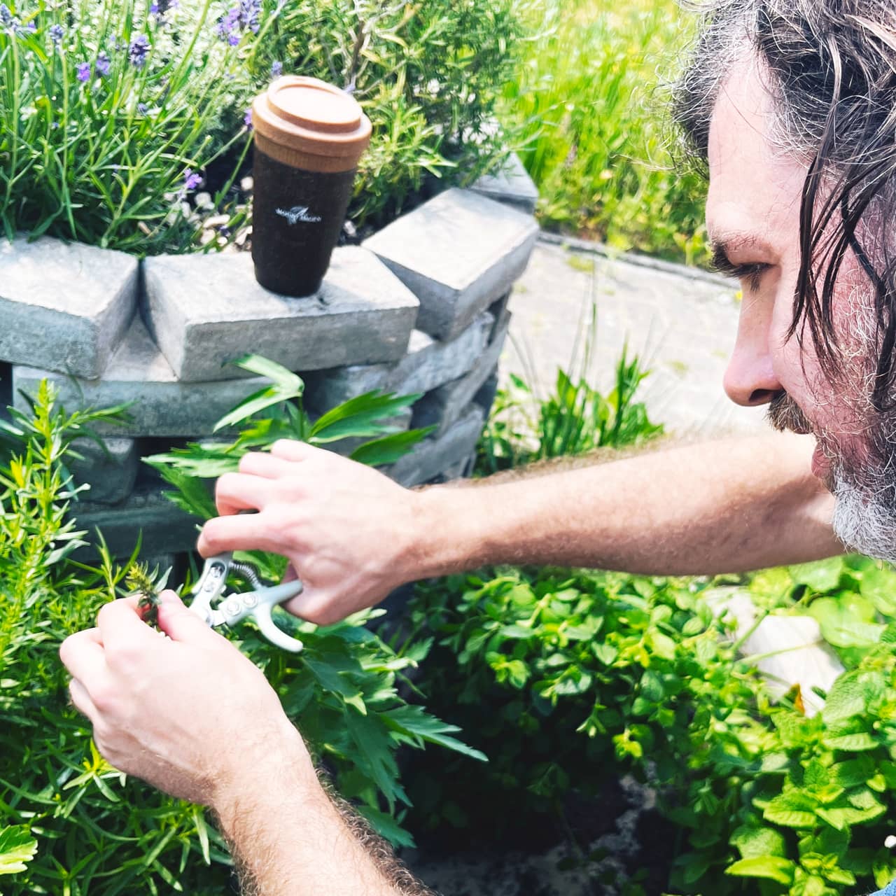 Garten Giesswasser Kaffeesatz